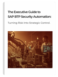 BTP Security Ebook