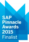  SAP Pinnacle Award